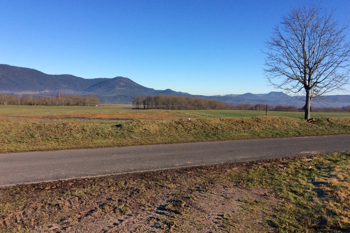 Vue à 100 mètres du gîte