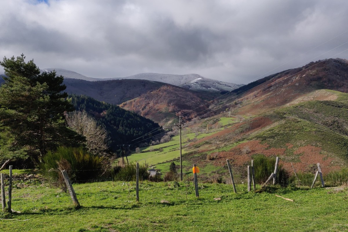 Col salidès