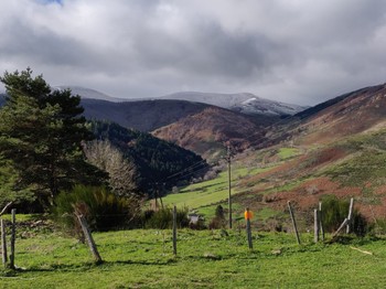 Col salidès