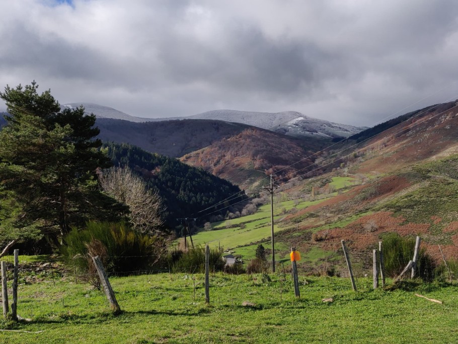 Col salidès