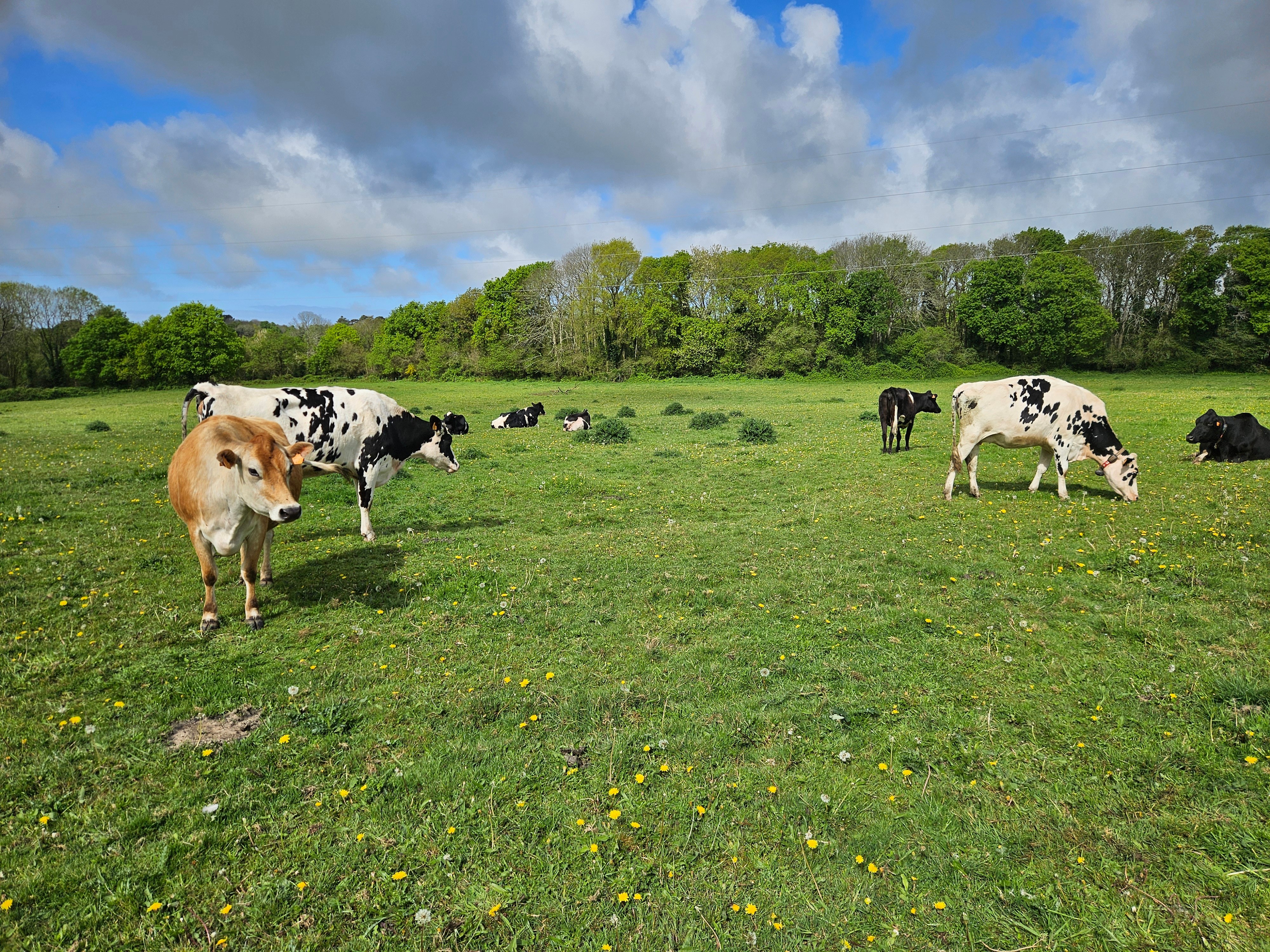 Photo n° 13 of the location