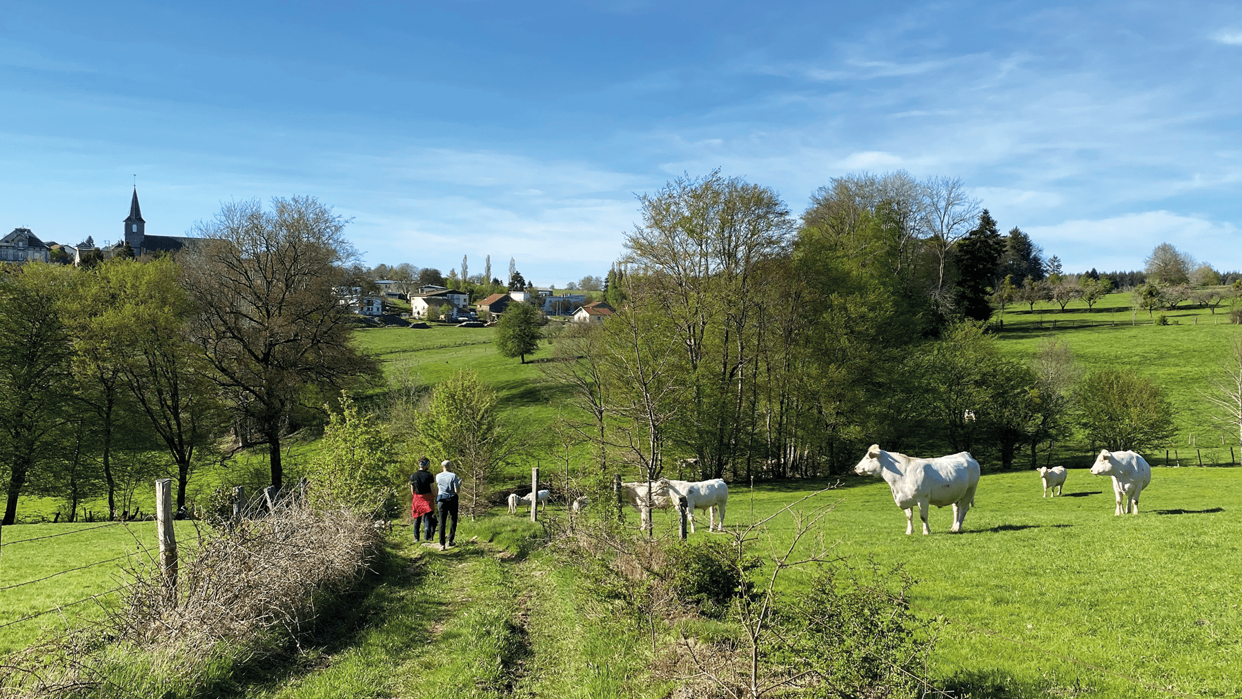 Hiking in Ruaux - Plombières-les-Bains