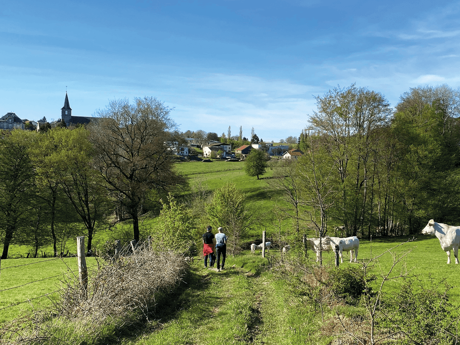 Hiking in Ruaux - Plombières-les-Bains