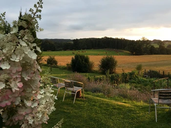 Perfect view