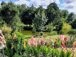 Jardin