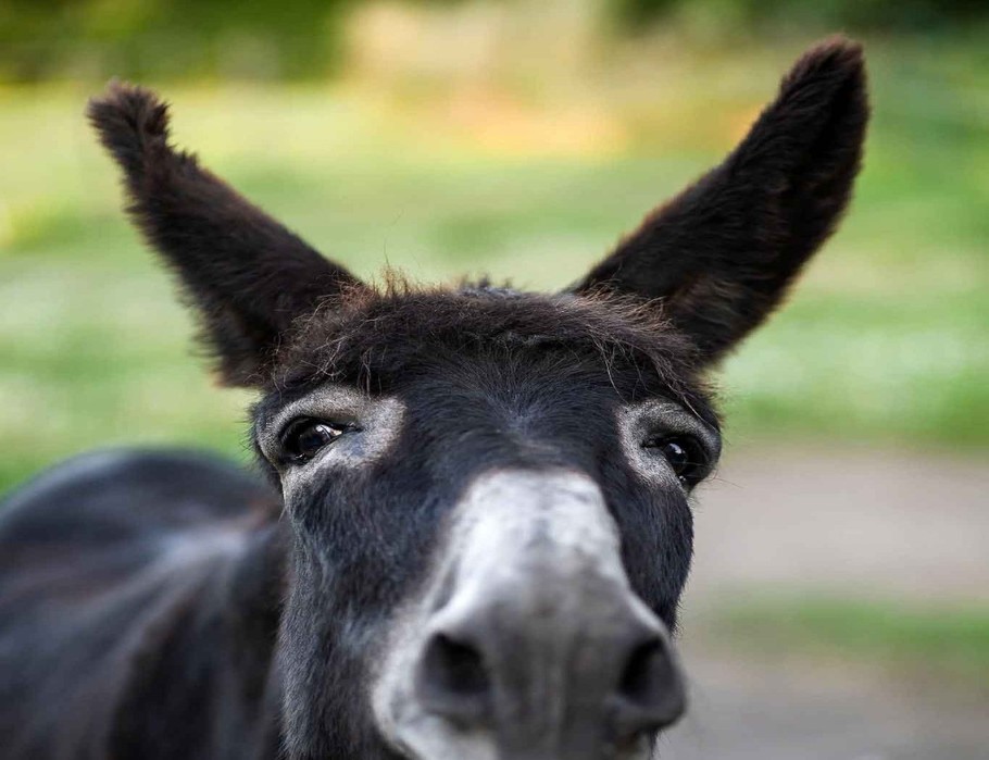 Photo n° 20 de la location