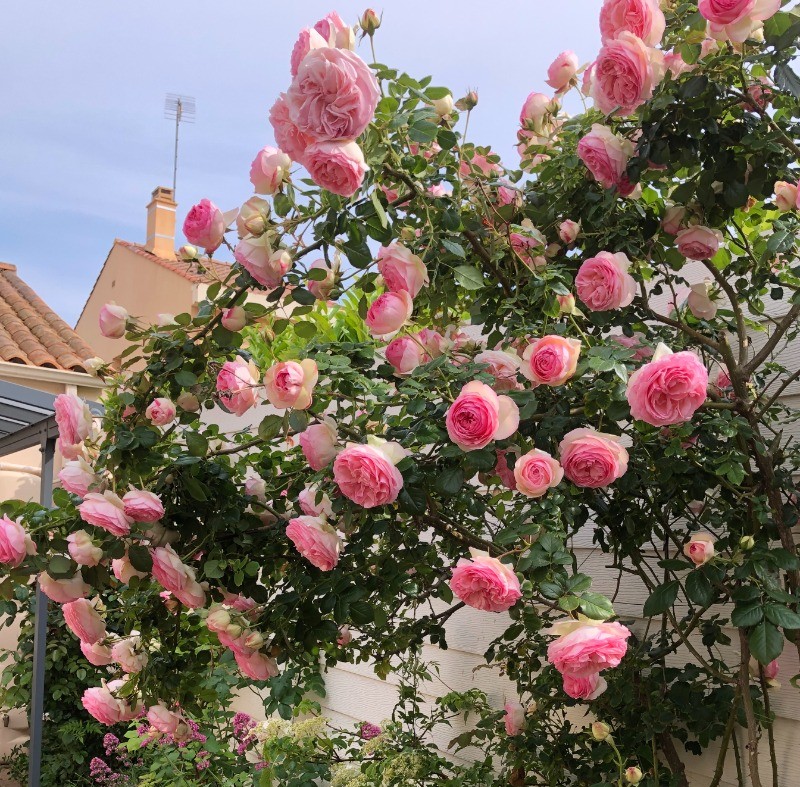 Photo n° 16 de la location