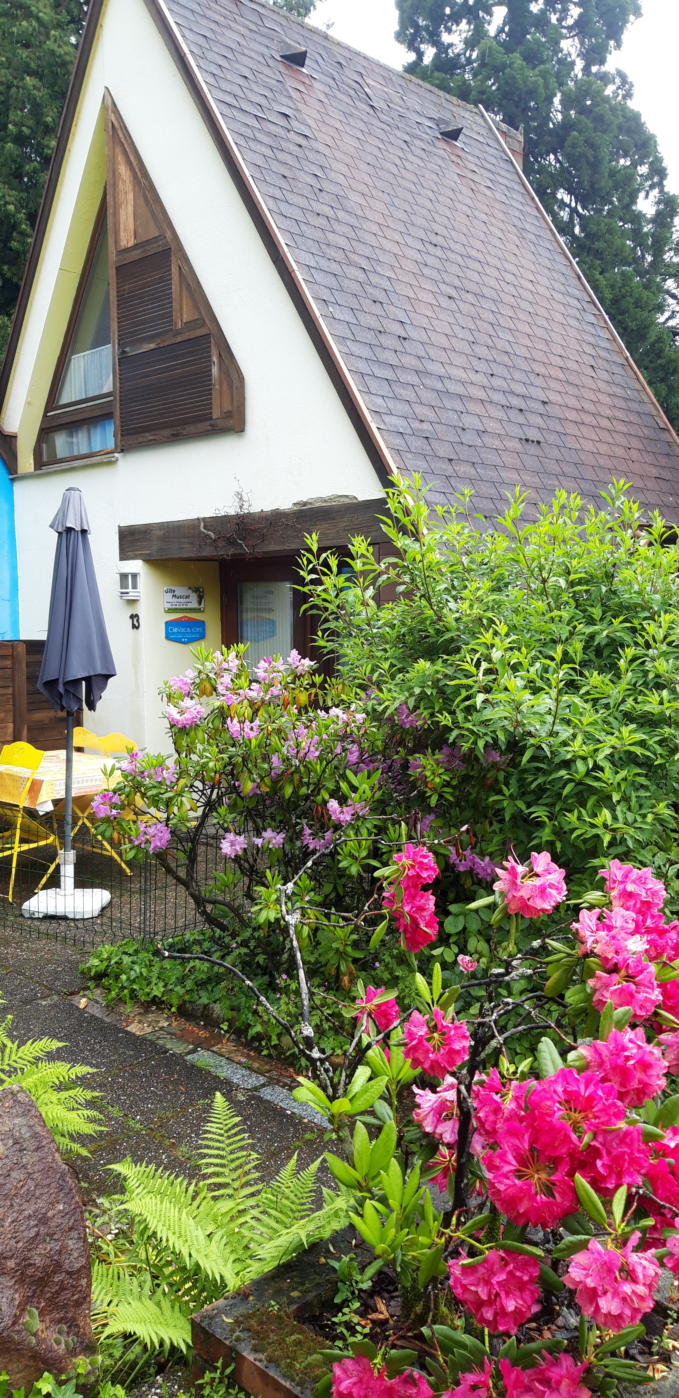 Photo n° 20 de la location