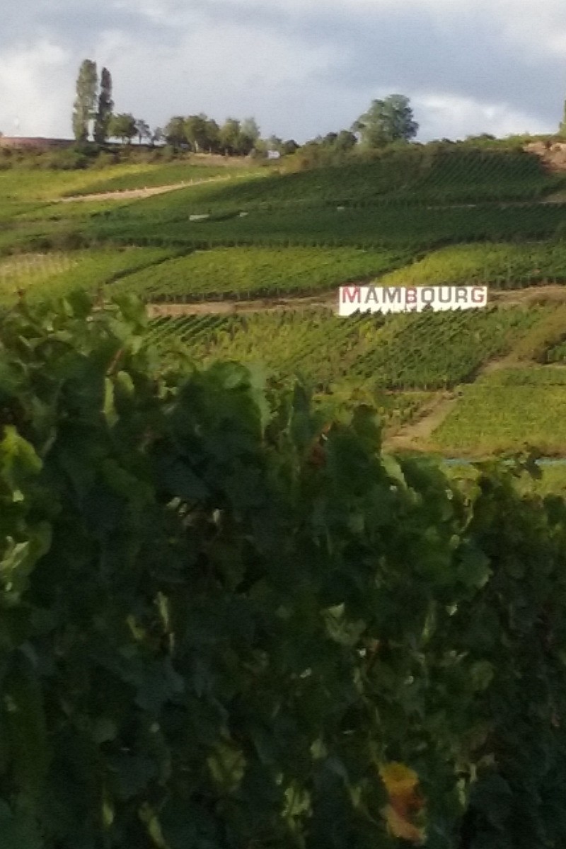 Photo n° 13 de la location