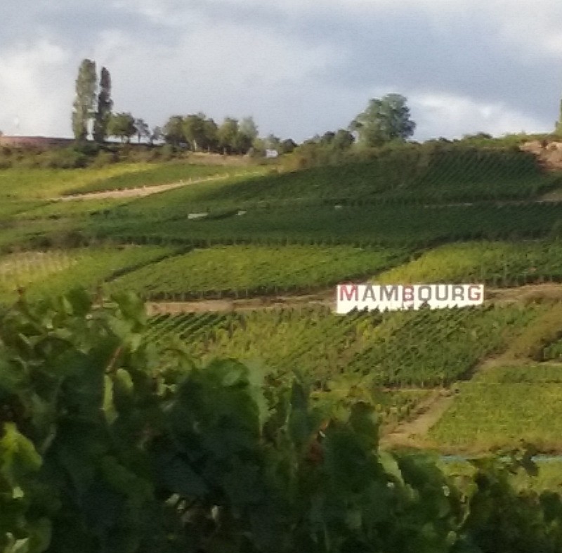 Photo n° 13 of the location