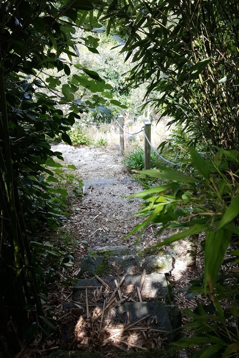 escalier sur terrasse