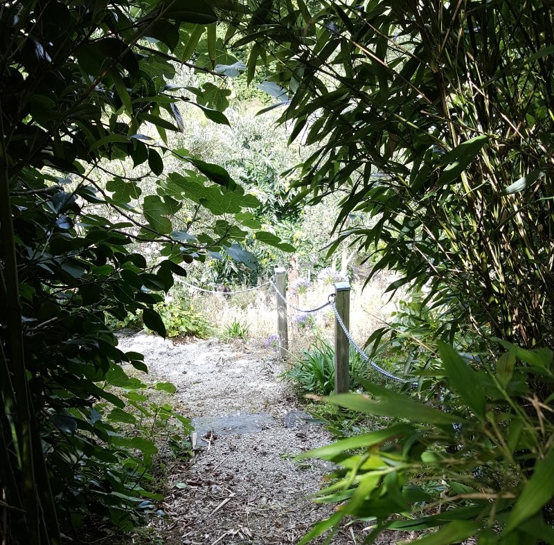 escalier sur terrasse
