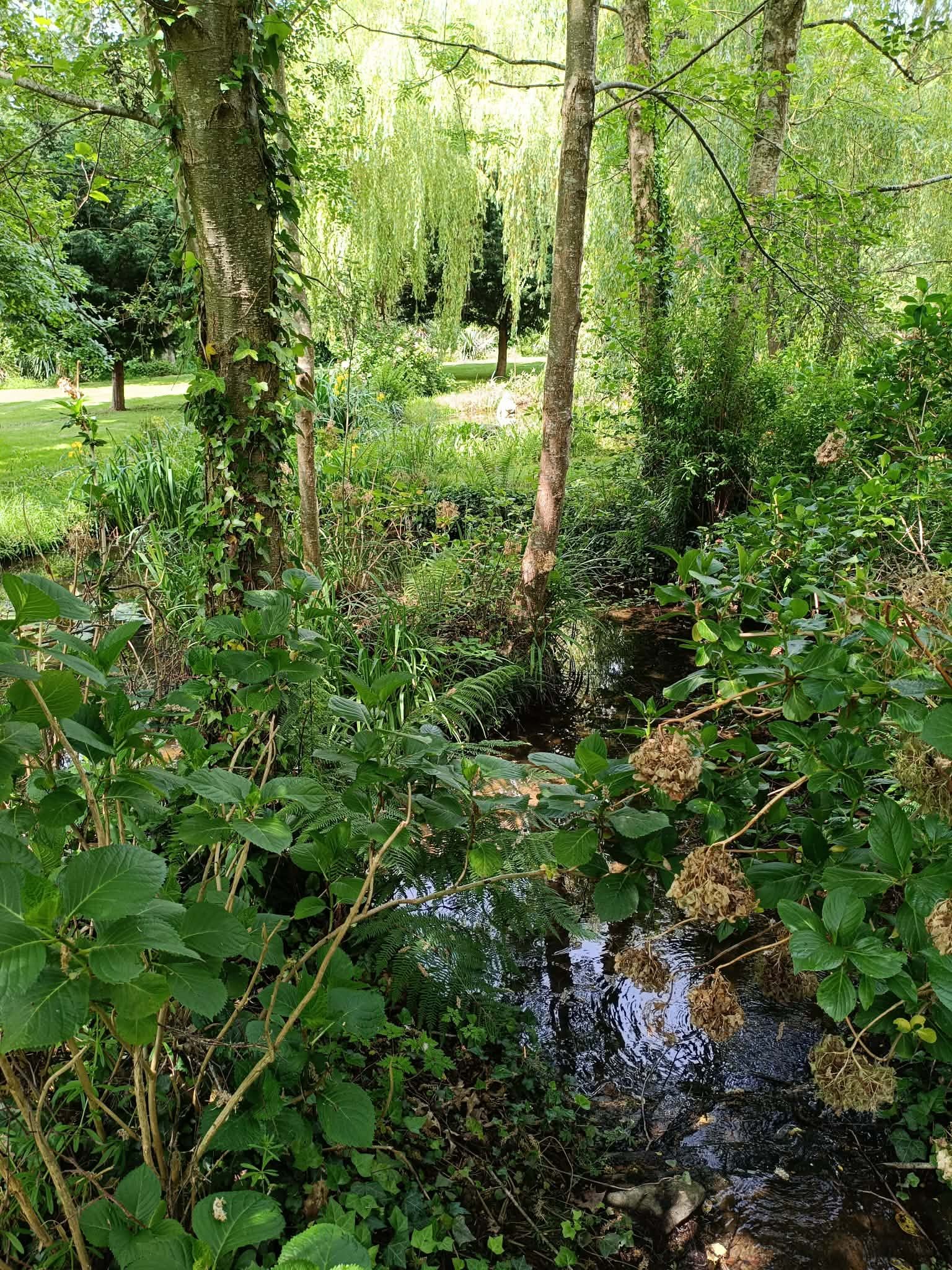 Communal garden