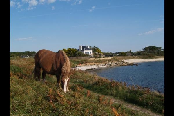plage de gwendrez:sentier cotier