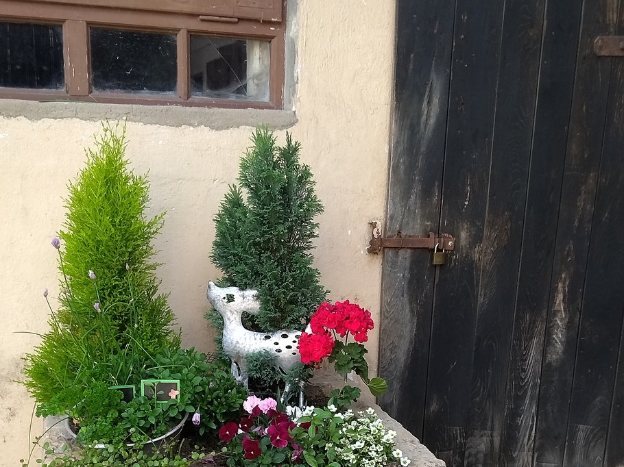 Photo n° 18 of the location