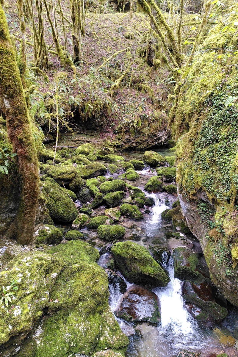 Photo n° 8 of the location