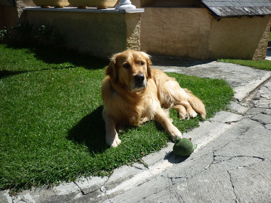 Photo n° 17 de la location