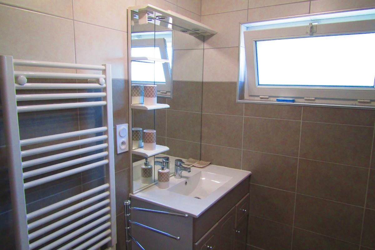 salle d'eau avec vasque ,chauffe serviette