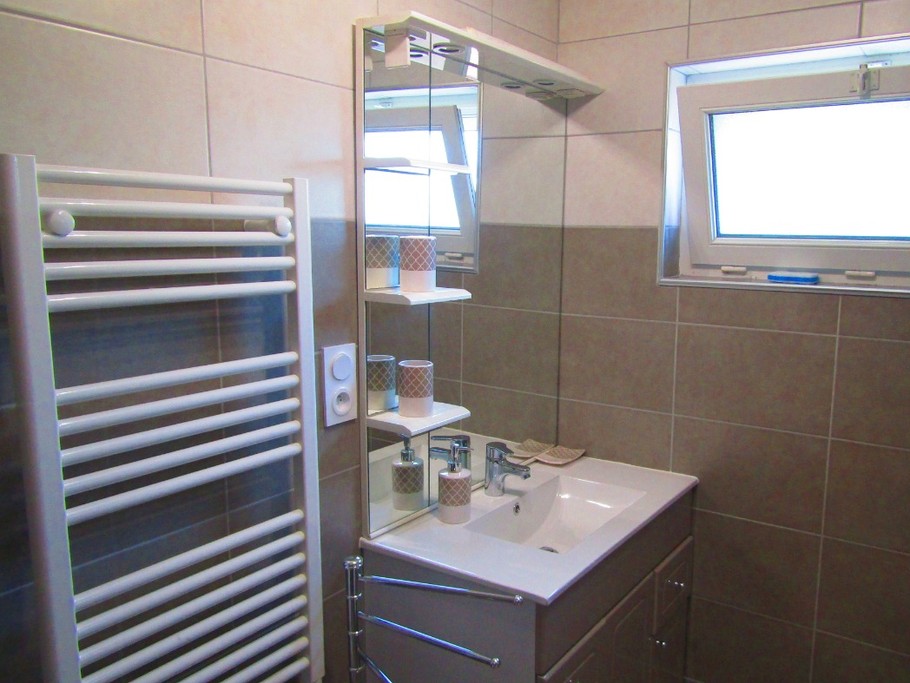 salle d'eau avec vasque ,chauffe serviette