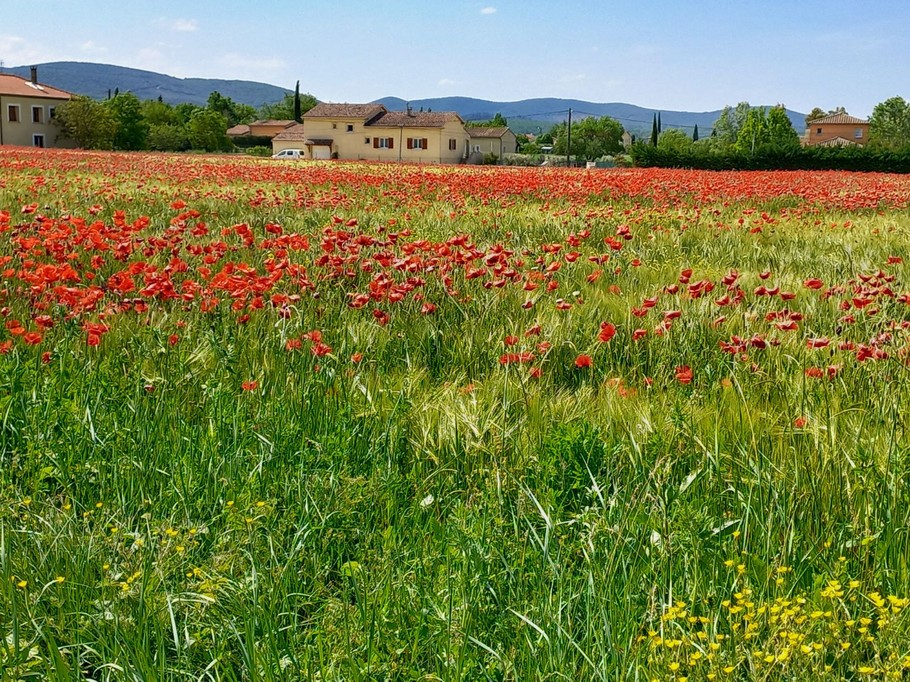 Photo n° 13 of the location