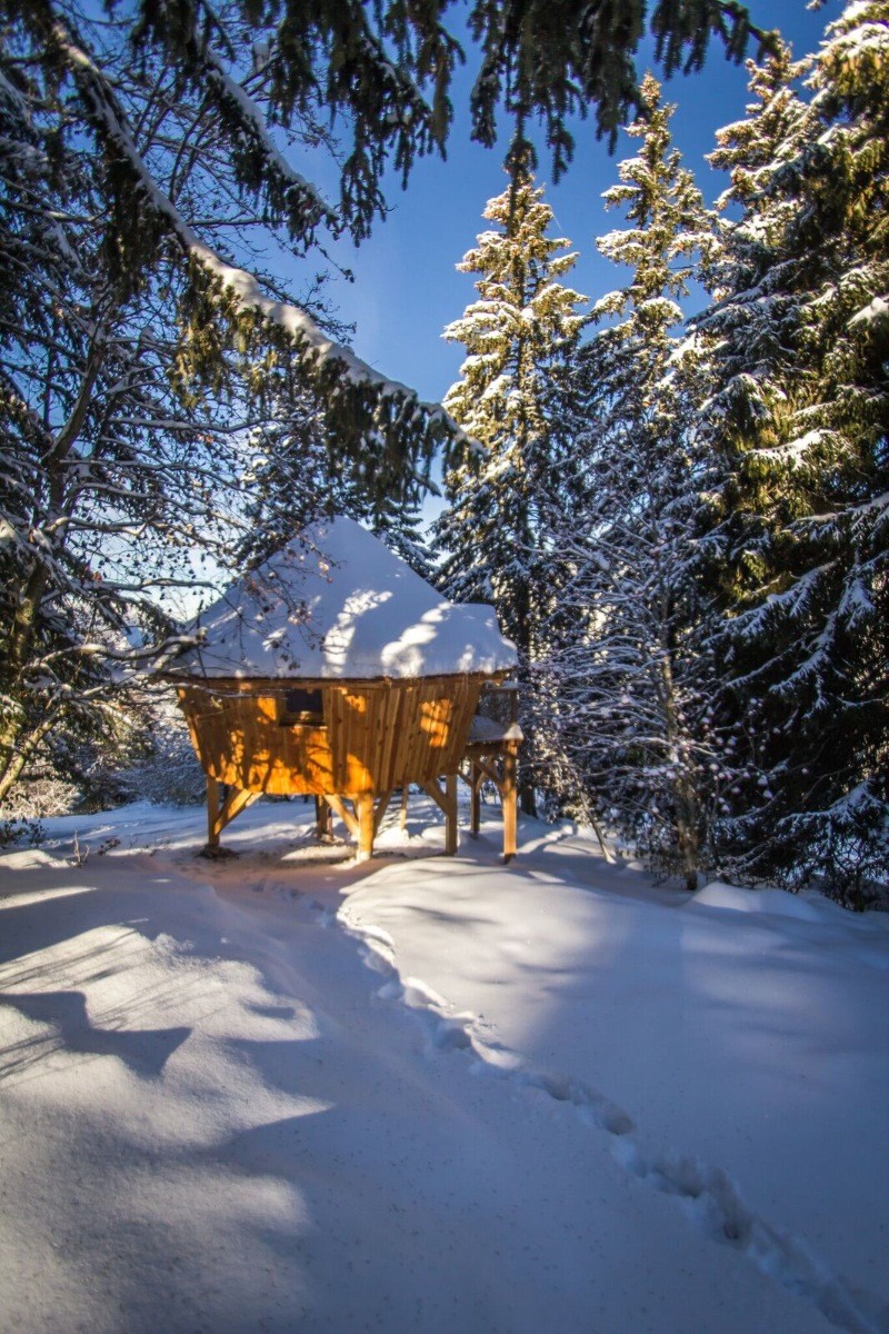 Cabane Chartreuse insolite "La Bordée"