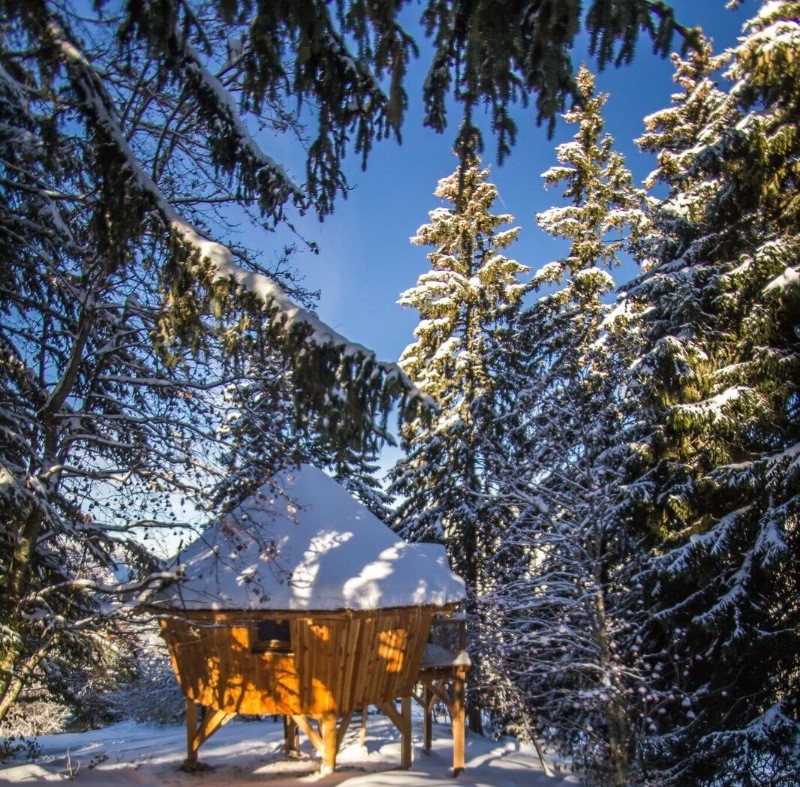 Cabane Chartreuse insolite "La Bordée"