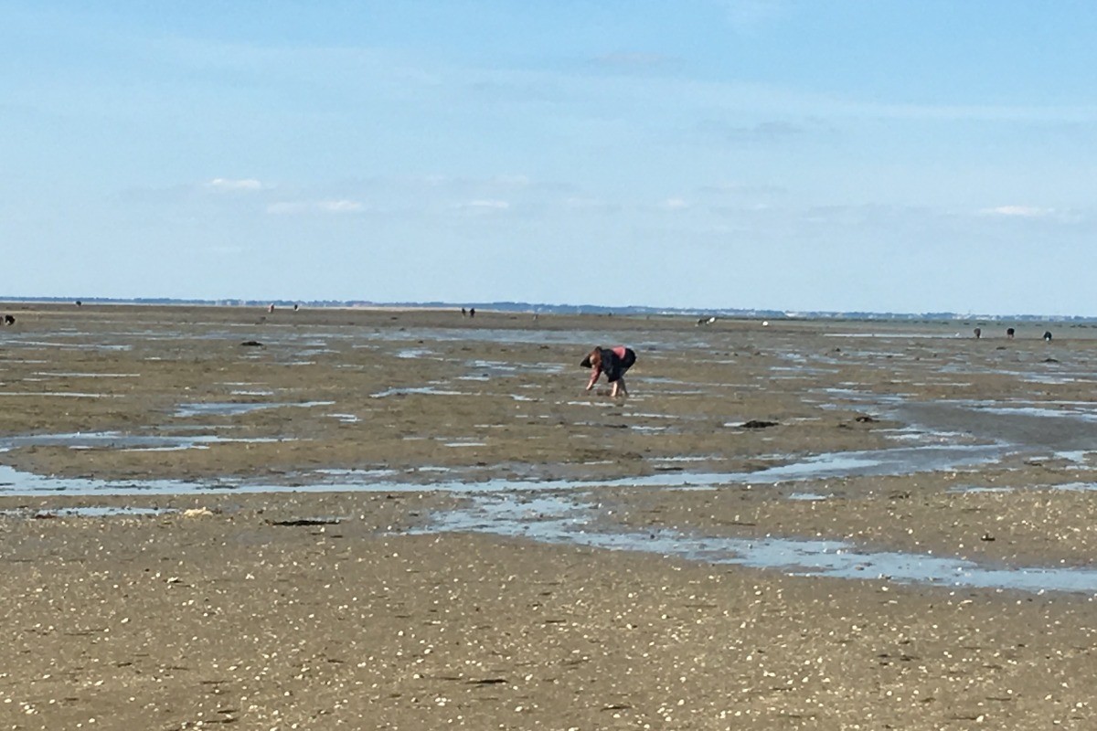 pêche à pied au passage du Gois