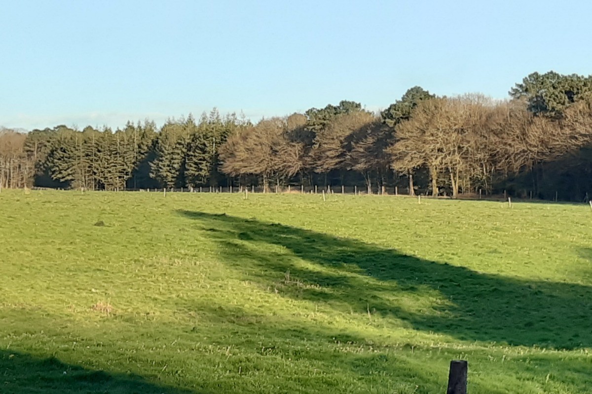 Photo n° 15 of the location