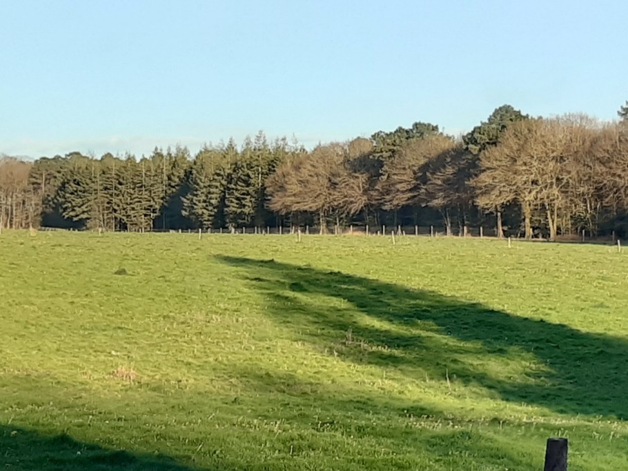 Photo n° 15 de la location