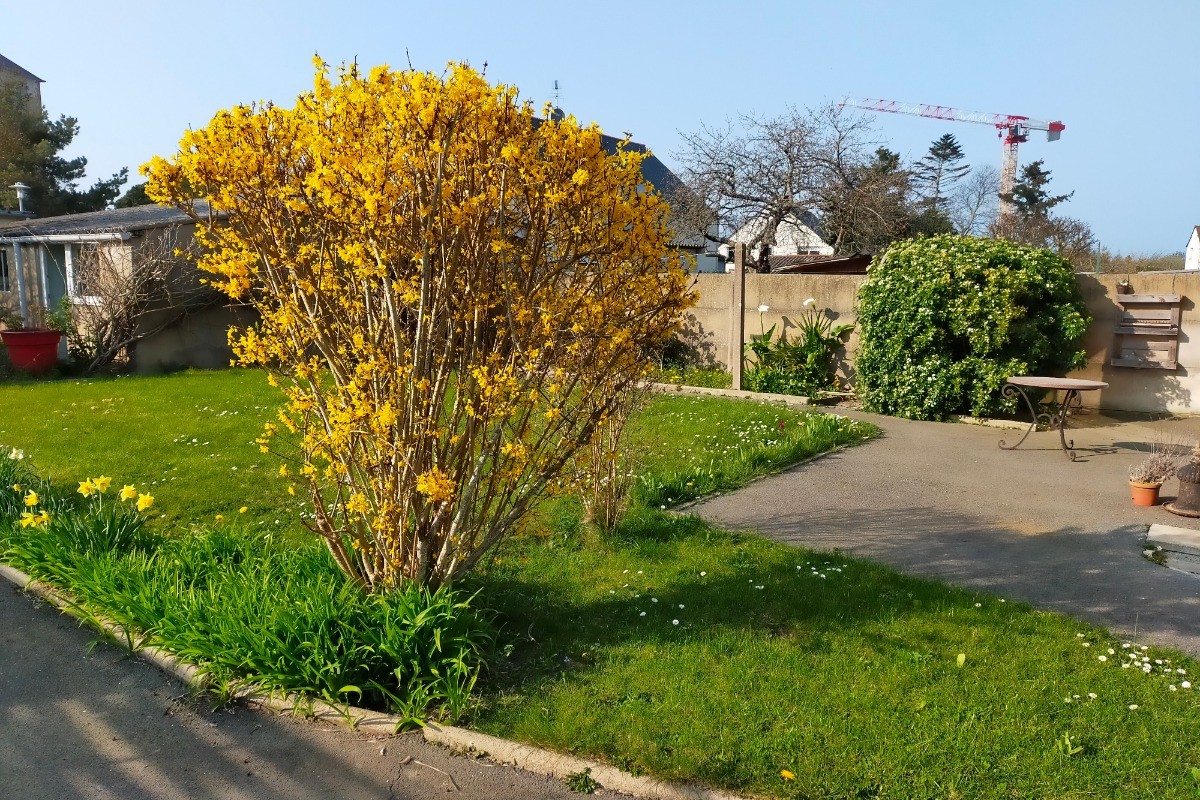 Photo n° 17 de la location
