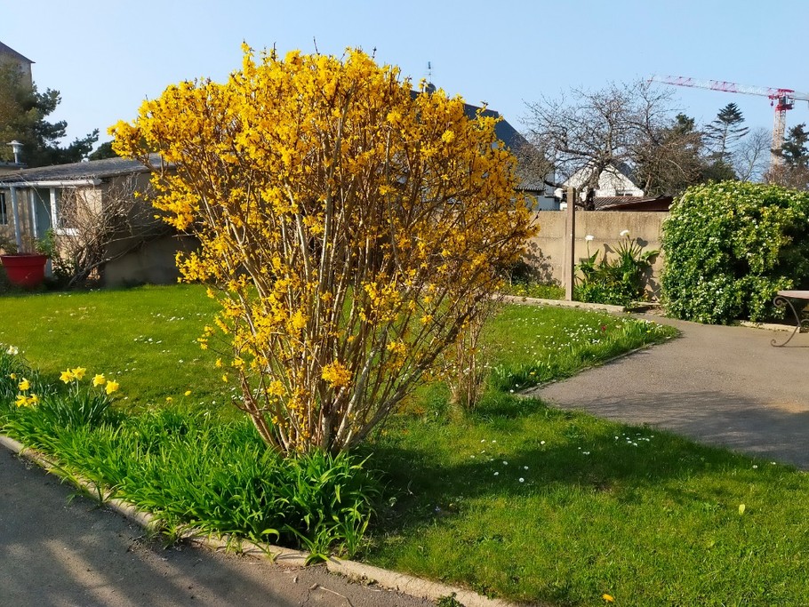 Photo n° 17 de la location