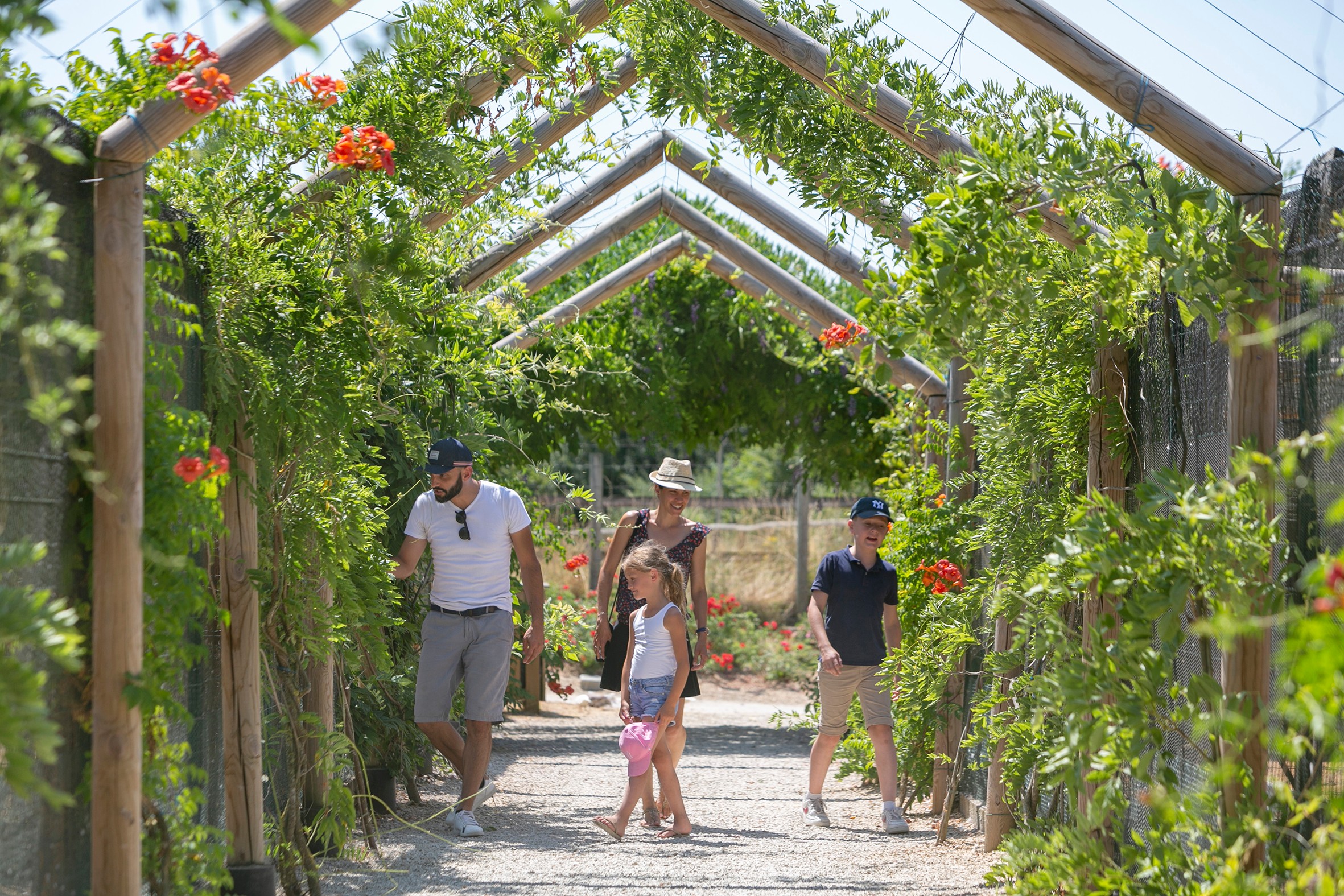 Photo n° 5 of the location