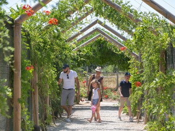 Photo n° 5 of the location