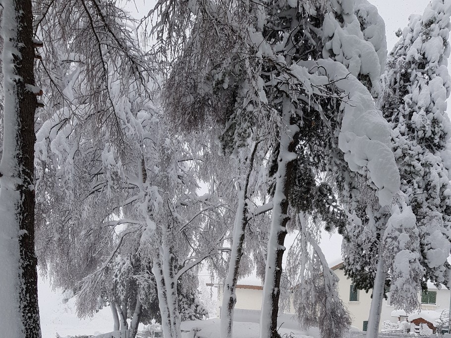 Photo n° 17 of the location