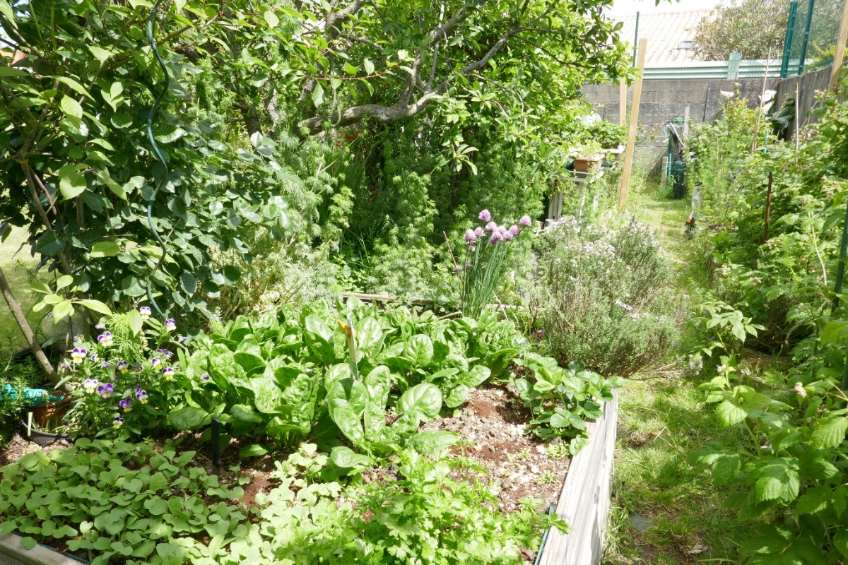 Potager
