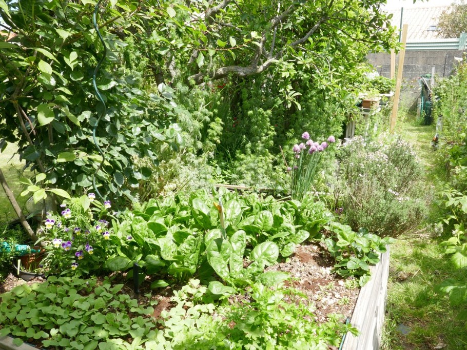 Potager