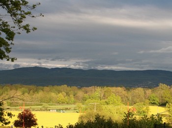 Vue depuis le studio