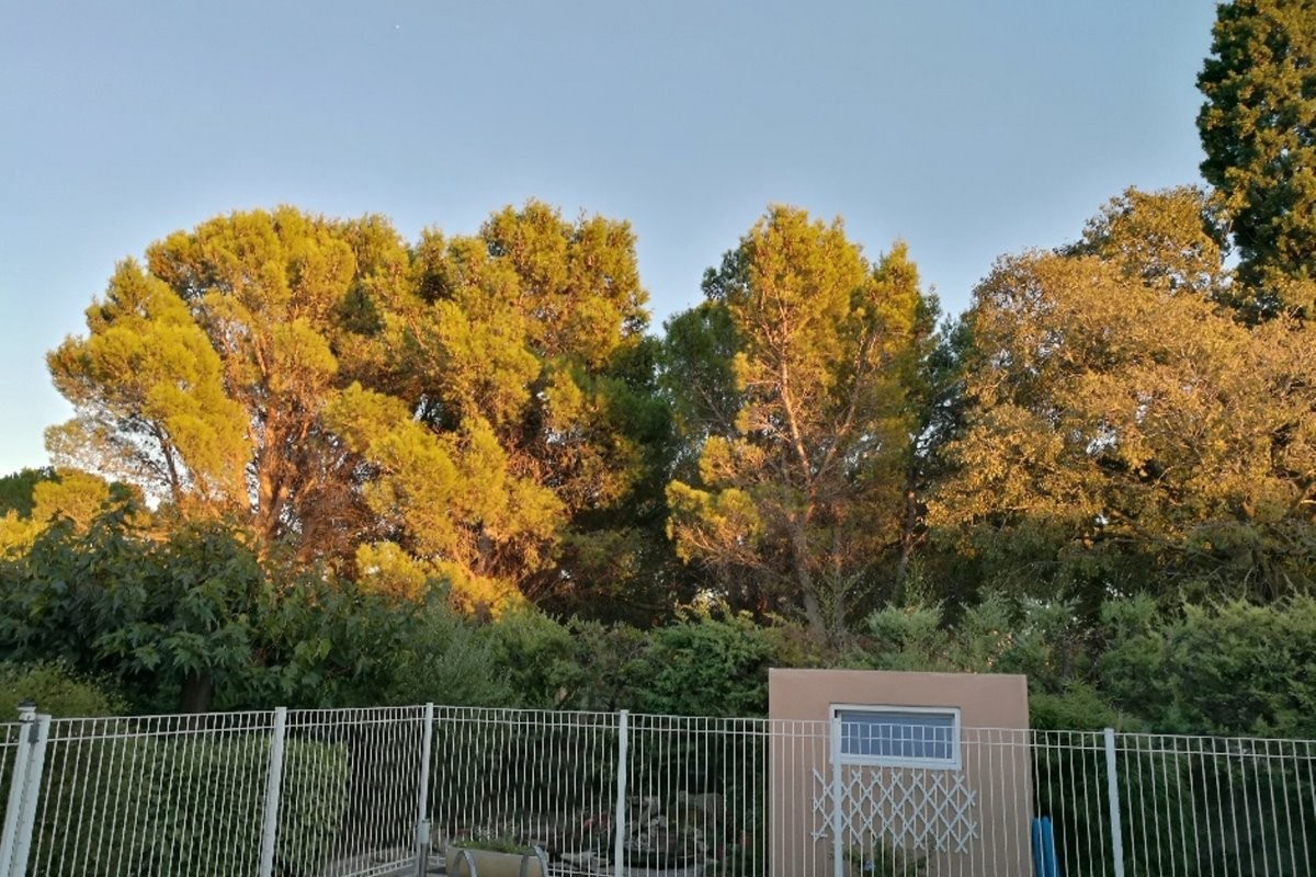 Au soleil couchant, vue depuis la terrasse...