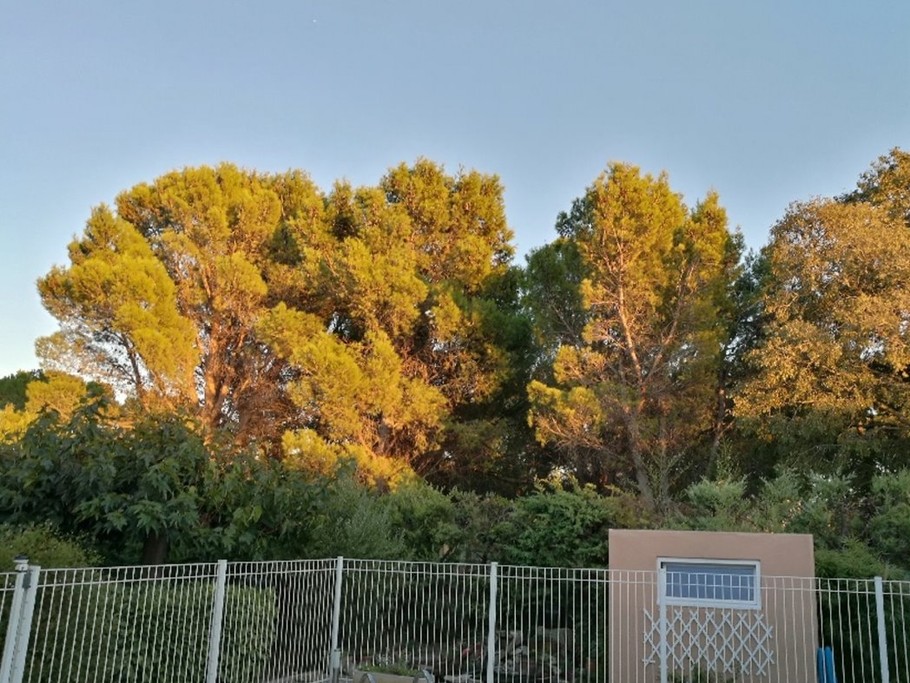 Au soleil couchant, vue depuis la terrasse...