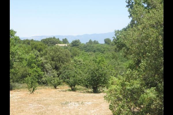 Photo n° 18 de la location