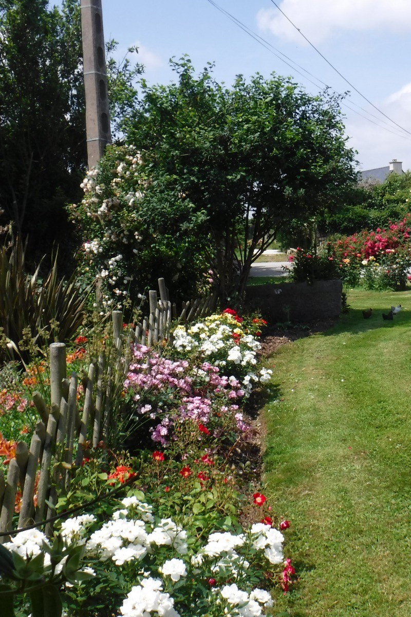 Photo n° 11 of the location