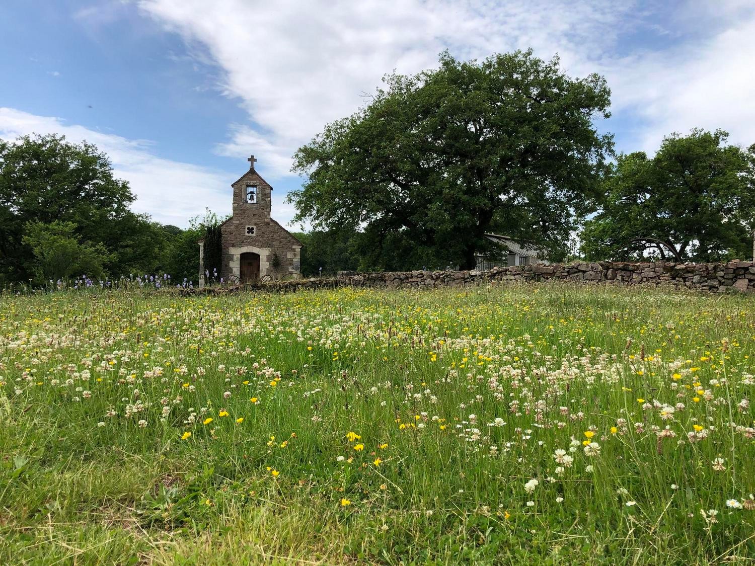 Photo n° 20 de la location