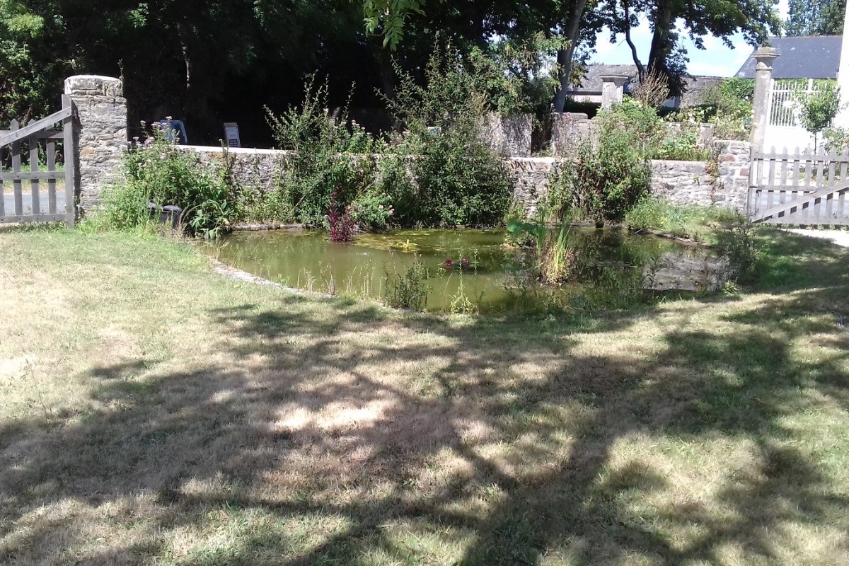 Photo n° 9 de la location