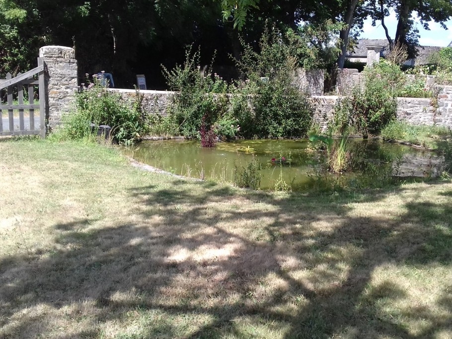 Photo n° 9 de la location