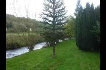 ile