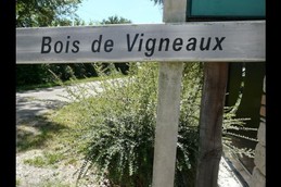 Image n° 5 de la location