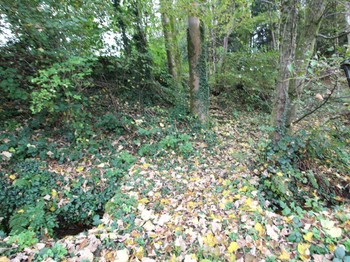 Espace extérieur commun - Chambre Tillie Anderson Docelles