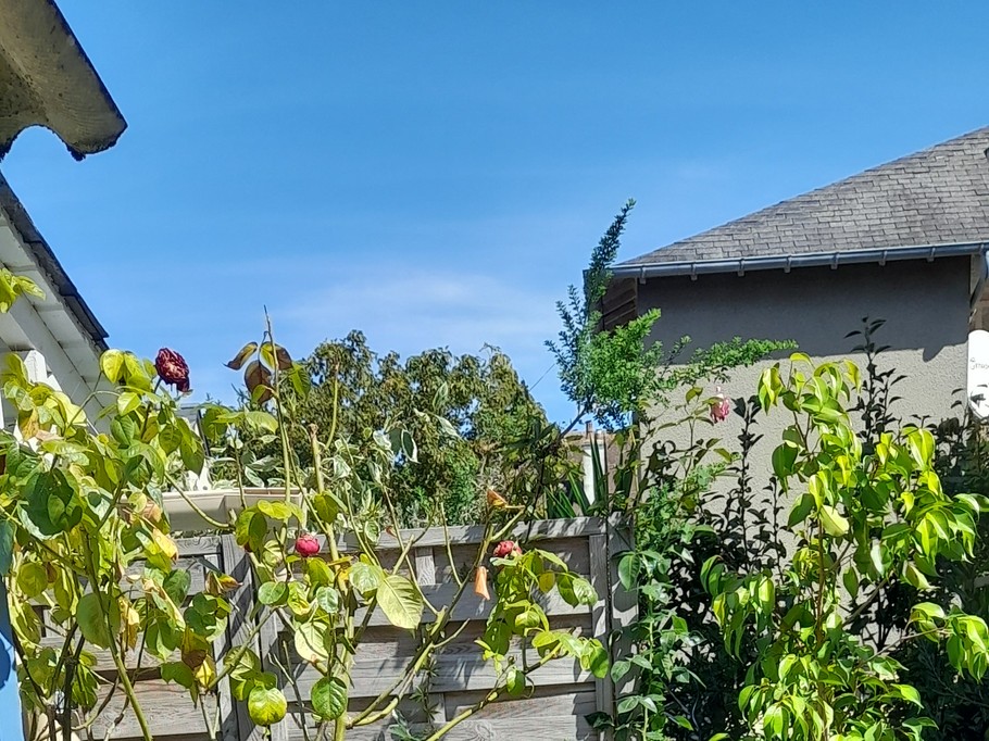 Photo n° 4 of the location