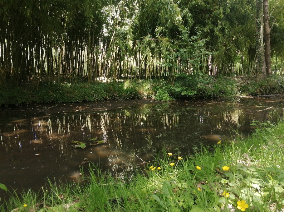 Photo n° 12 de la location