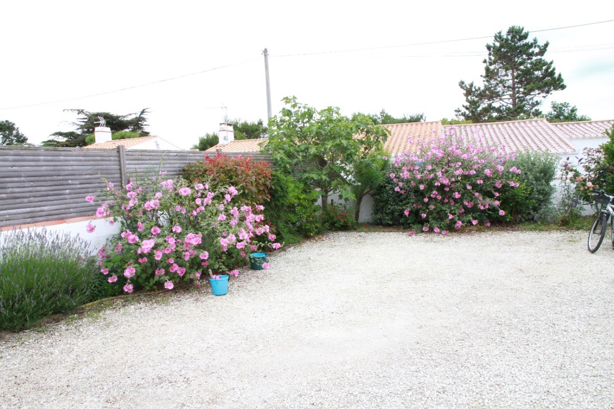 Cour arborée clôturée